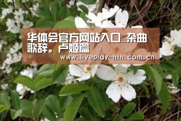 华体会官方网站入口_杂曲歌辞。卢姬篇(图1) 华体会