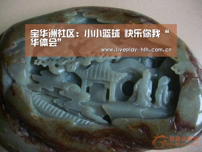 宝华洲社区:小小篮球 快乐你我“华体会”(图2) 华体会官方网站入口