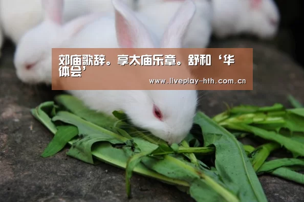 华体会官方网站入口