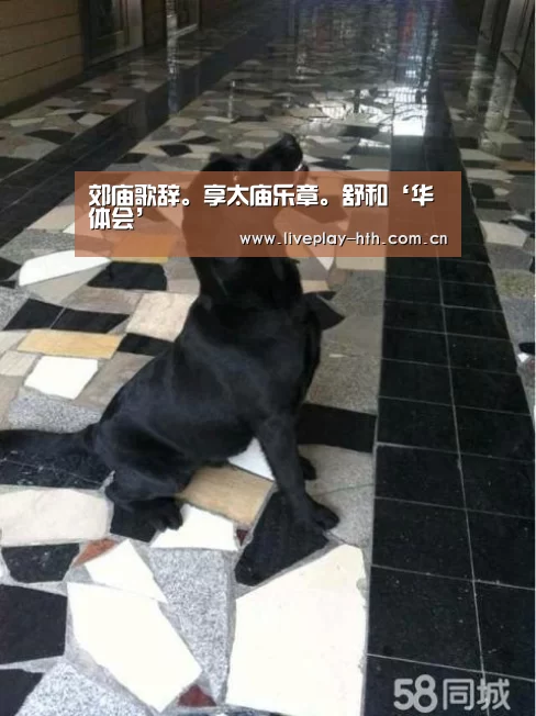 华体会官网