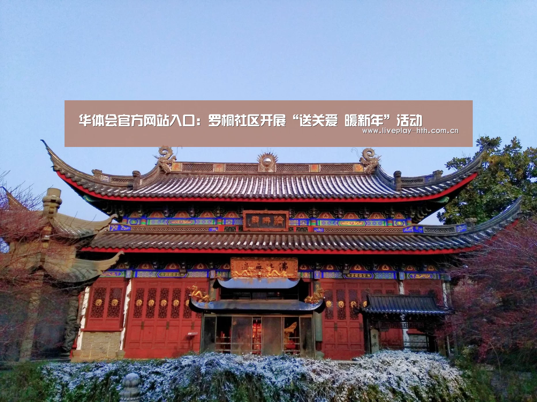 华体会官方网站入口:罗桐社区开展“送关爱 暖新年”活动(图1) 华体会下载