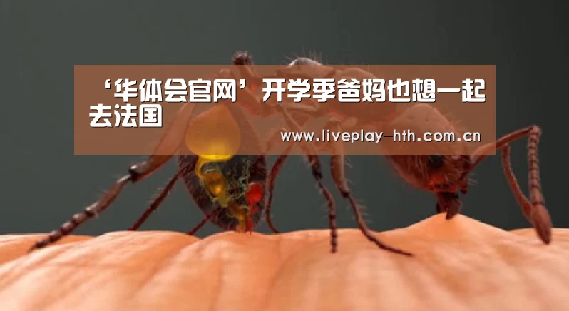 ‘华体会官网’开学季爸妈也想一起去法国(图2) 华体会