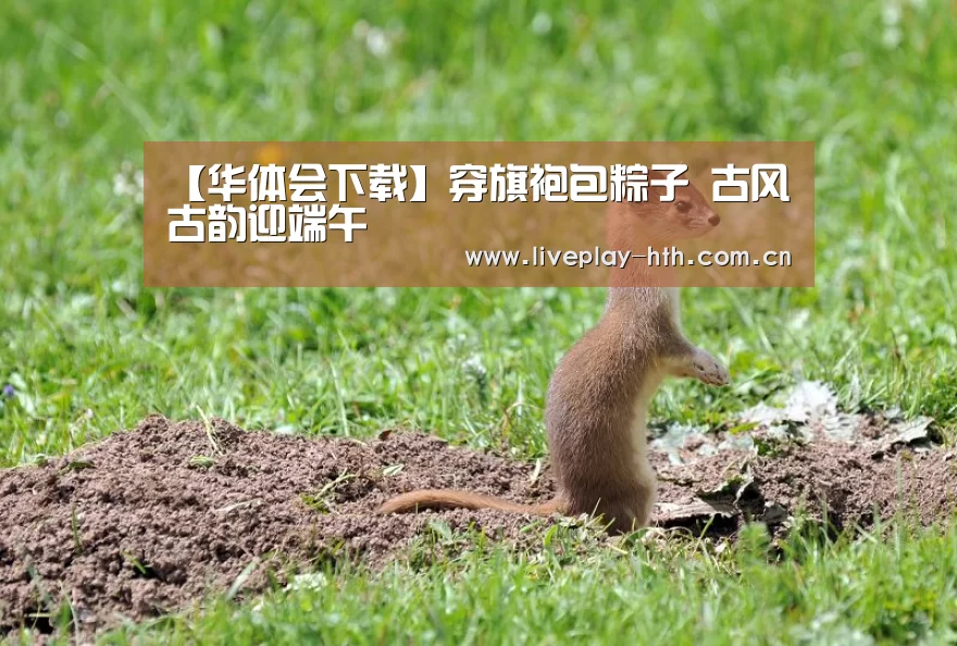 【华体会下载】穿旗袍包粽子 古风古韵迎端午(图3) 华体会