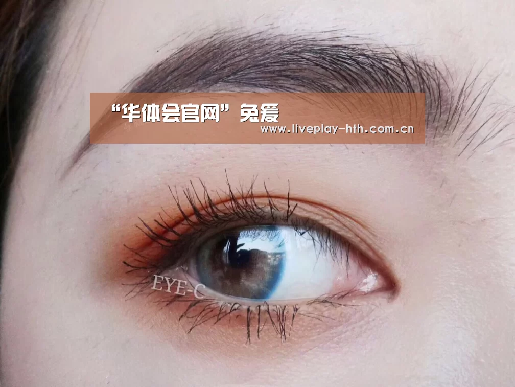 华体会下载