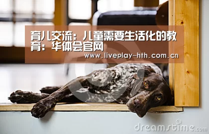 华体会官方网站入口