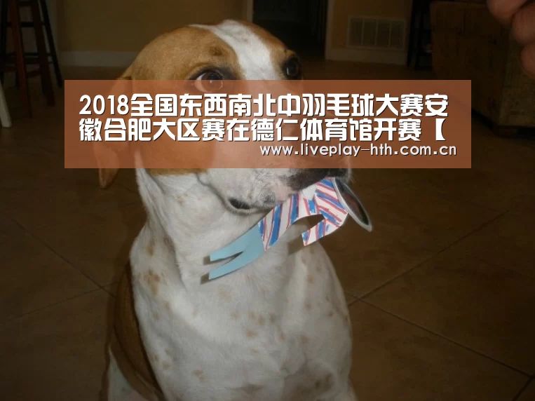 2018全国东西南北中羽毛球大赛安徽合肥大区赛在德仁体育馆开赛【华体会官方网站入口】(图1) 华体会官网