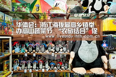 华体会:浙江海拔最高乡镇举办高山蔬菜节 “农旅结合”促增收(图2) 华体会官网