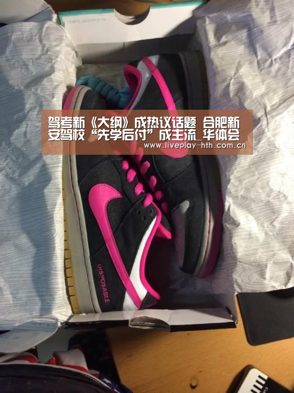 华体会官方网站入口