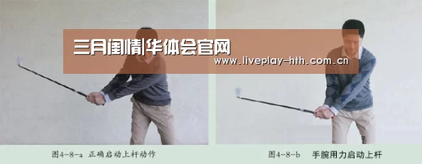 华体会官方网站入口