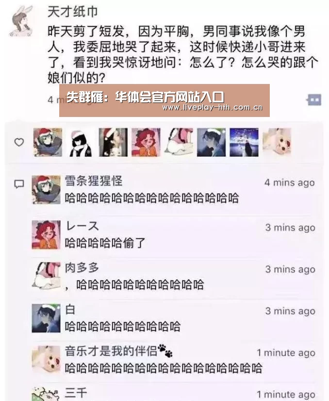 失群雁:华体会官方网站入口(图1) 华体会
