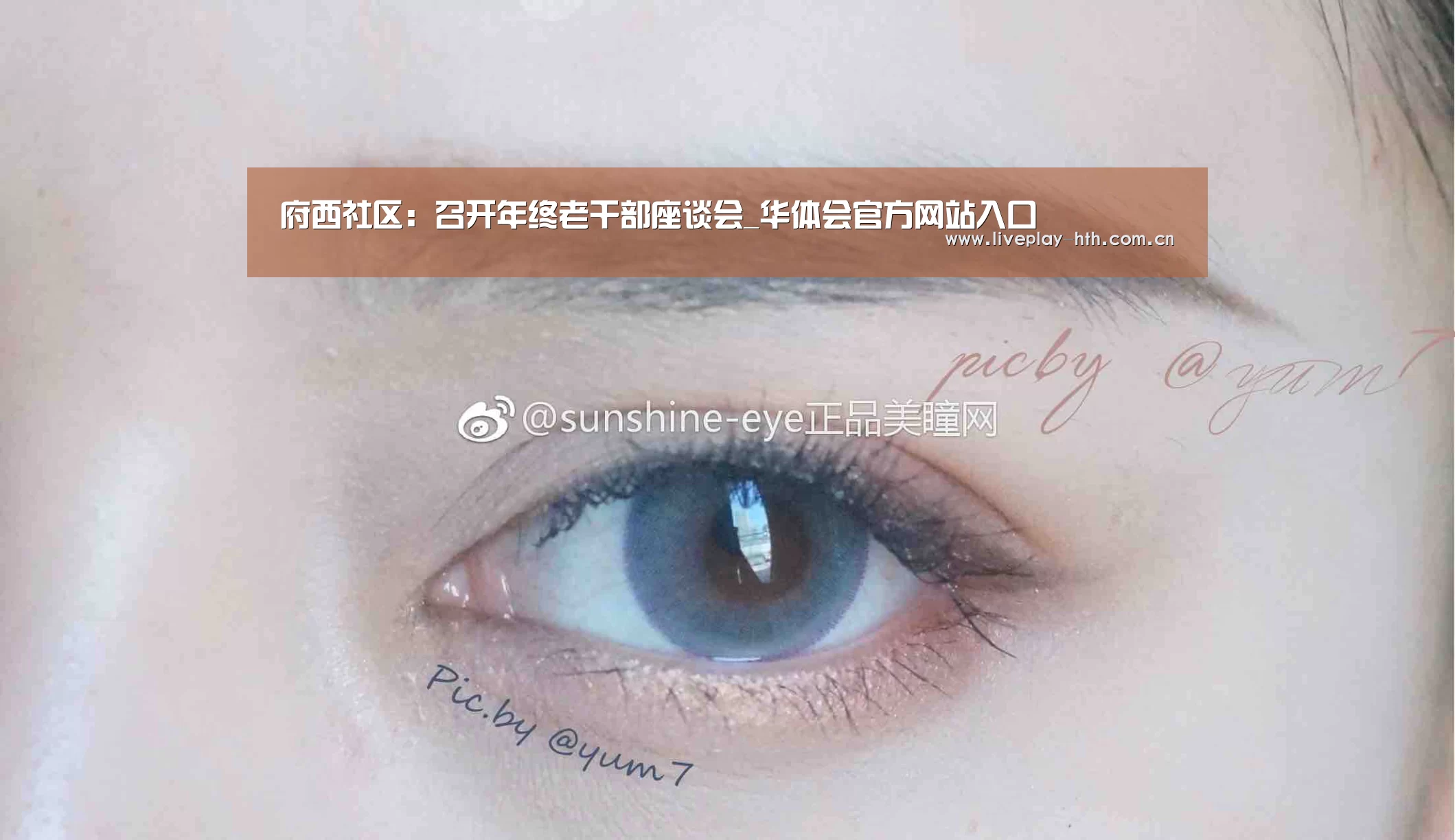 府西社区:召开年终老干部座谈会_华体会官方网站入口(图3) 华体会官网