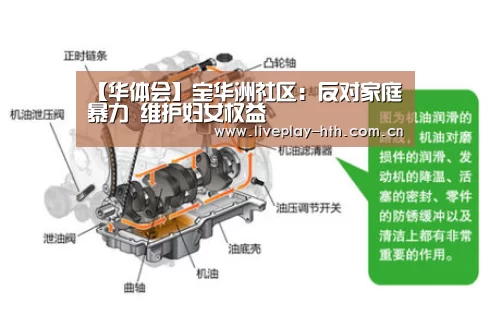 【华体会】宝华洲社区:反对家庭暴力 维护妇女权益(图3) 华体会