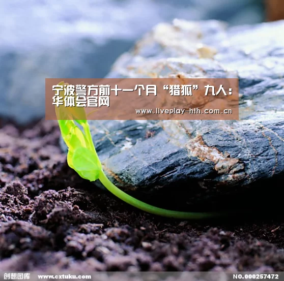 宁波警方前十一个月“猎狐”九人:华体会官网(图2) 华体会下载