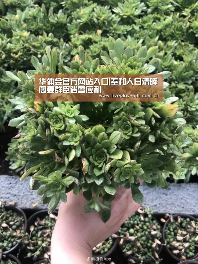 华体会官方网站入口|奉和人日清晖阁宴群臣遇雪应制(图2) 华体会官网